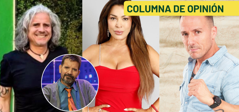 columna de vasco moulian: famosos al parlamento