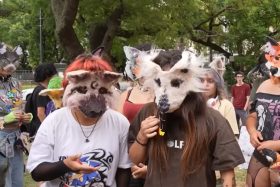 Primer therian de Chile: Famoso personaje de televisión hizo sorpresiva confesión