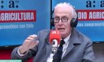 pedro carcuro