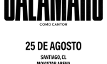 Andrés Calamaro en chile