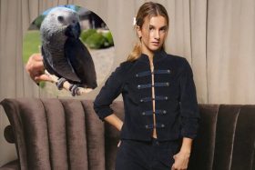 influencer - josefa sáez - loro