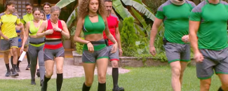 volverías - eliminada